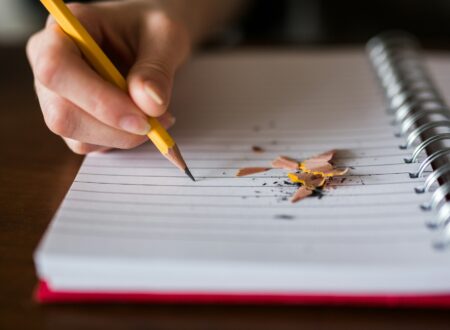 write an essay for Germany institute