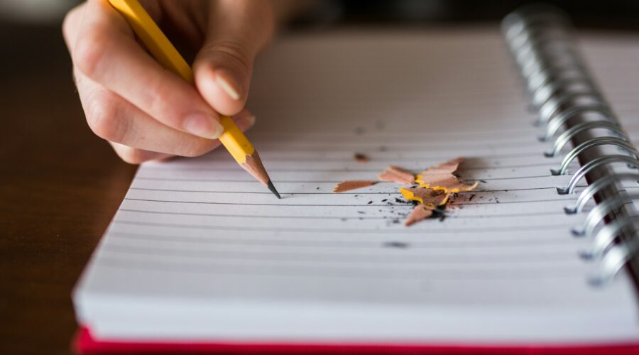 write an essay for Germany institute