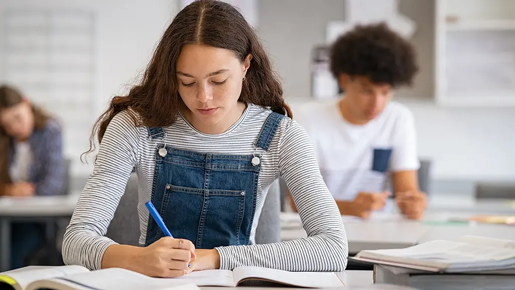 13 Amazing Tips to Master your University Assignments
